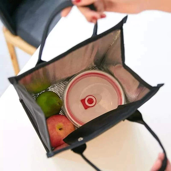 Thermal insulated lunch bag