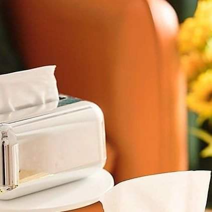 Electroplated Mirror Serviette Holder