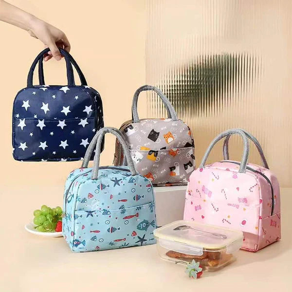 Insulated portable lunch bag
