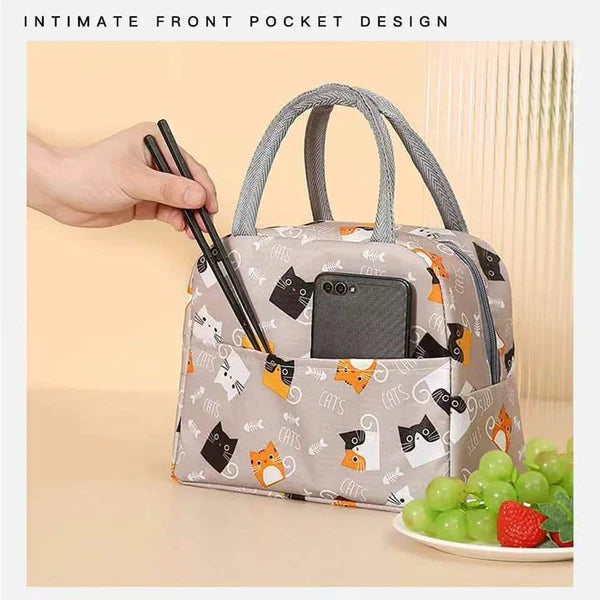 Insulated portable lunch bag