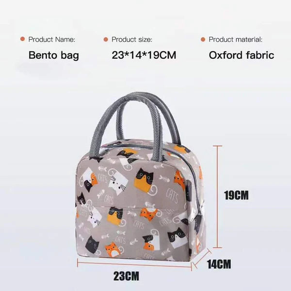 Insulated portable lunch bag