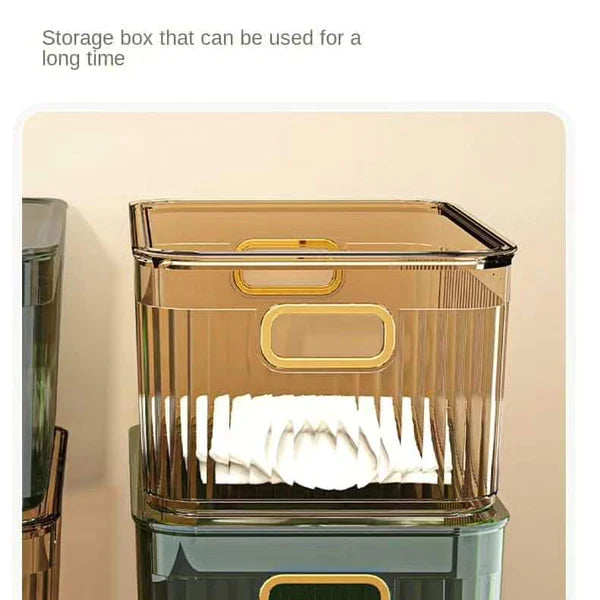 Luxury Transparent Household Storage Box