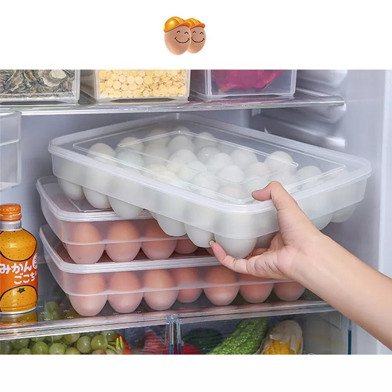 34pc Egg Holder