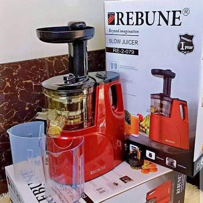 Rebune Slow Juicer With 2 Outlet For Juice & Pulp Homelux Kenya