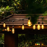 Electric LED String Light With Bulbs