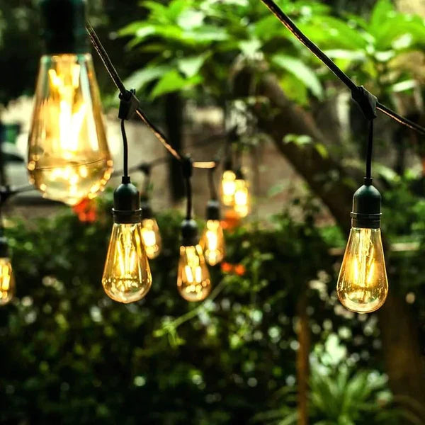 Electric LED String Light With Bulbs