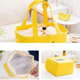 Waterproof insulated lunch bag