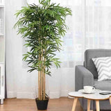 Real touch bamboo plant