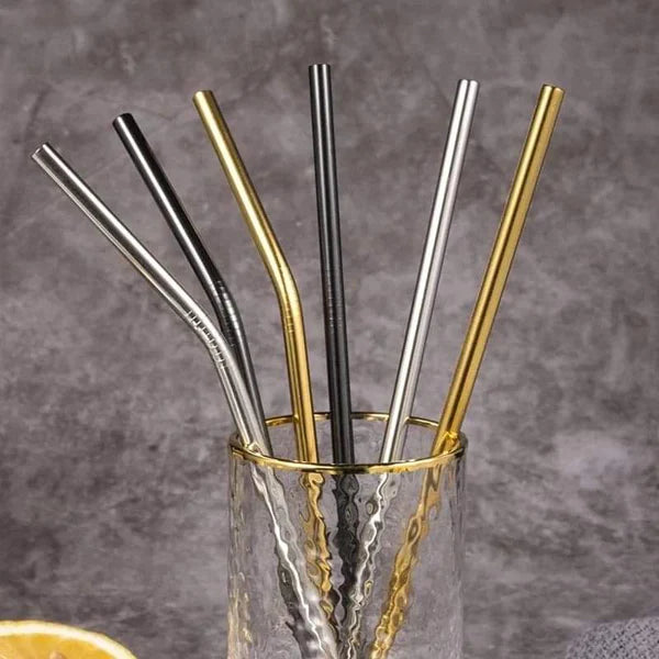 Reusable Metal Straws Set