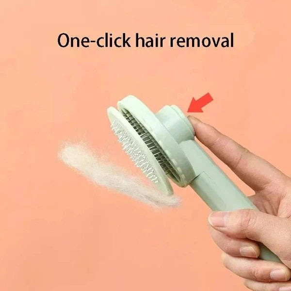 Fur Removal Brush