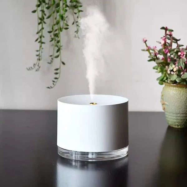 Ultrasonic Humidifier