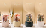 360° Rotating Makeup Brushes Holder Portable Desktop Makeup Organizer