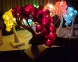 USB Operated Fairy Tree Lamp