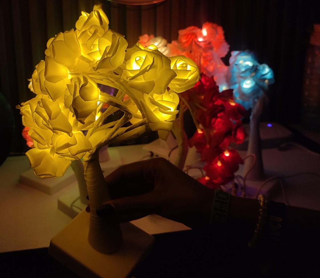 USB Operated Fairy Tree Lamp