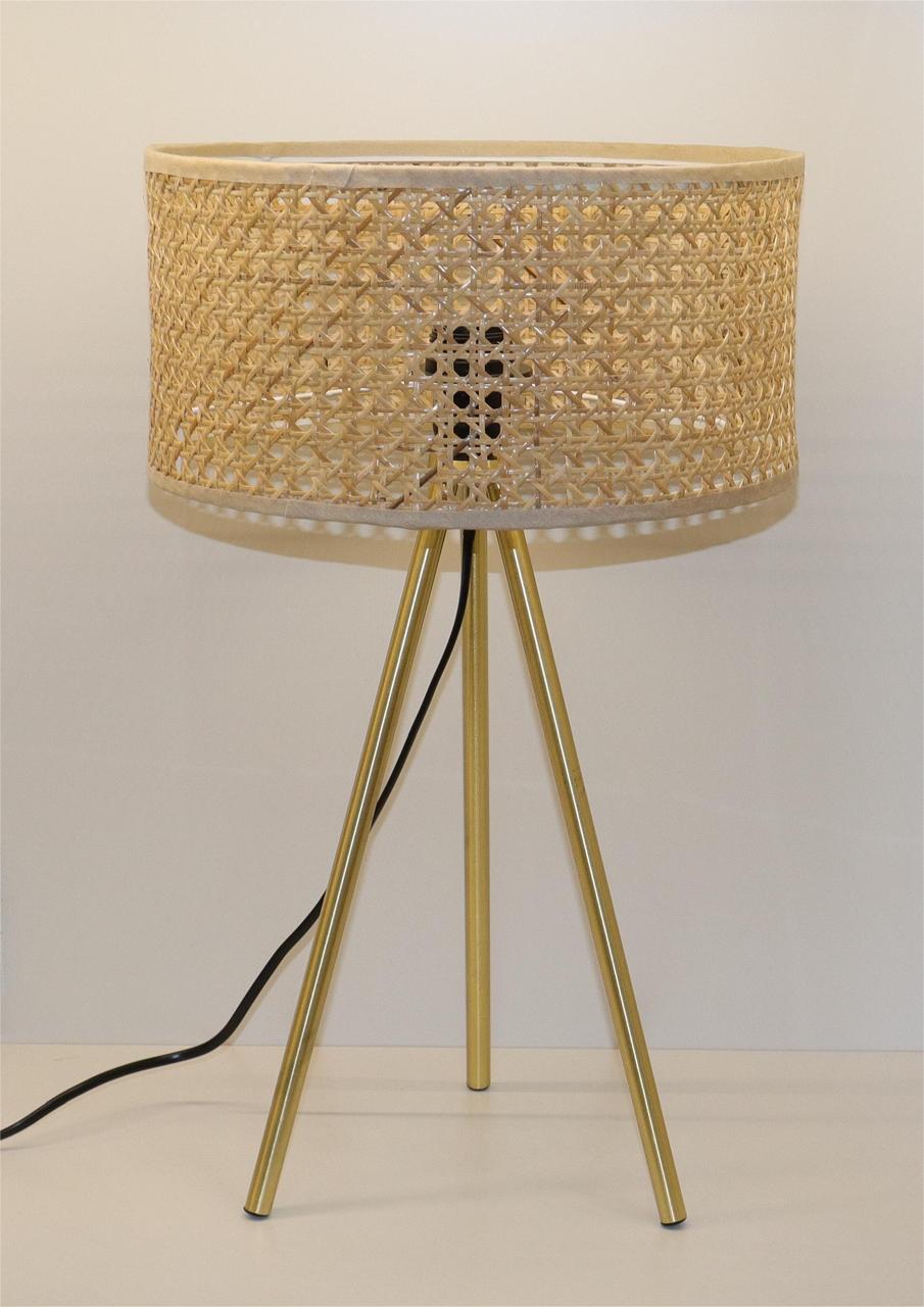 Metallic Glow Table Lamp with Wooden Net Shade - Gold