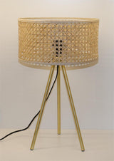 Metallic Glow Table Lamp with Wooden Net Shade - Gold