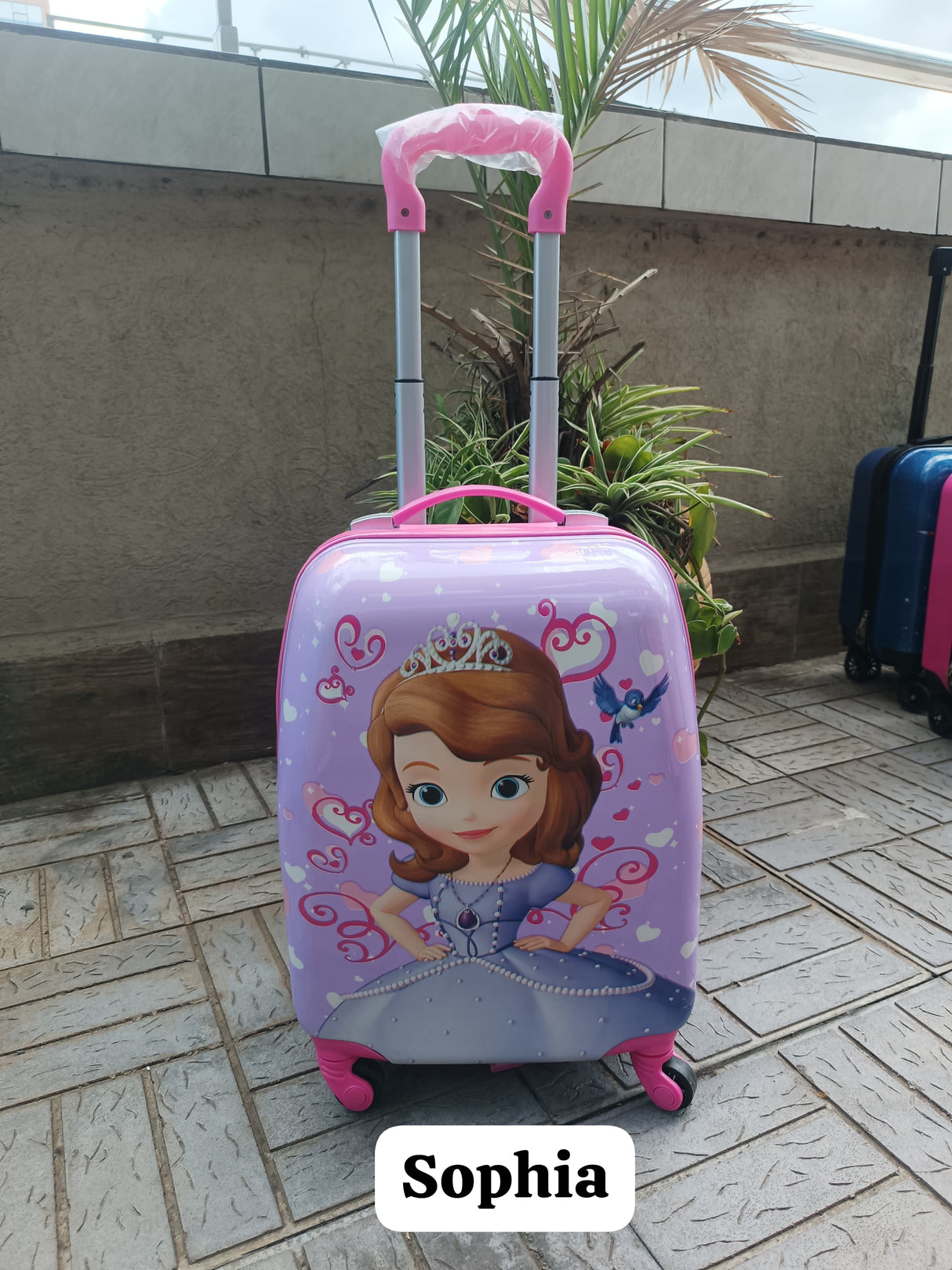 Cartoon Themed Fibre Suitcase for kids