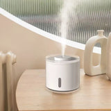 Nano Atomized Humidifier, Mist Maker Sprayer USB Charging Nozzle Fogger Atomizer Home & Office