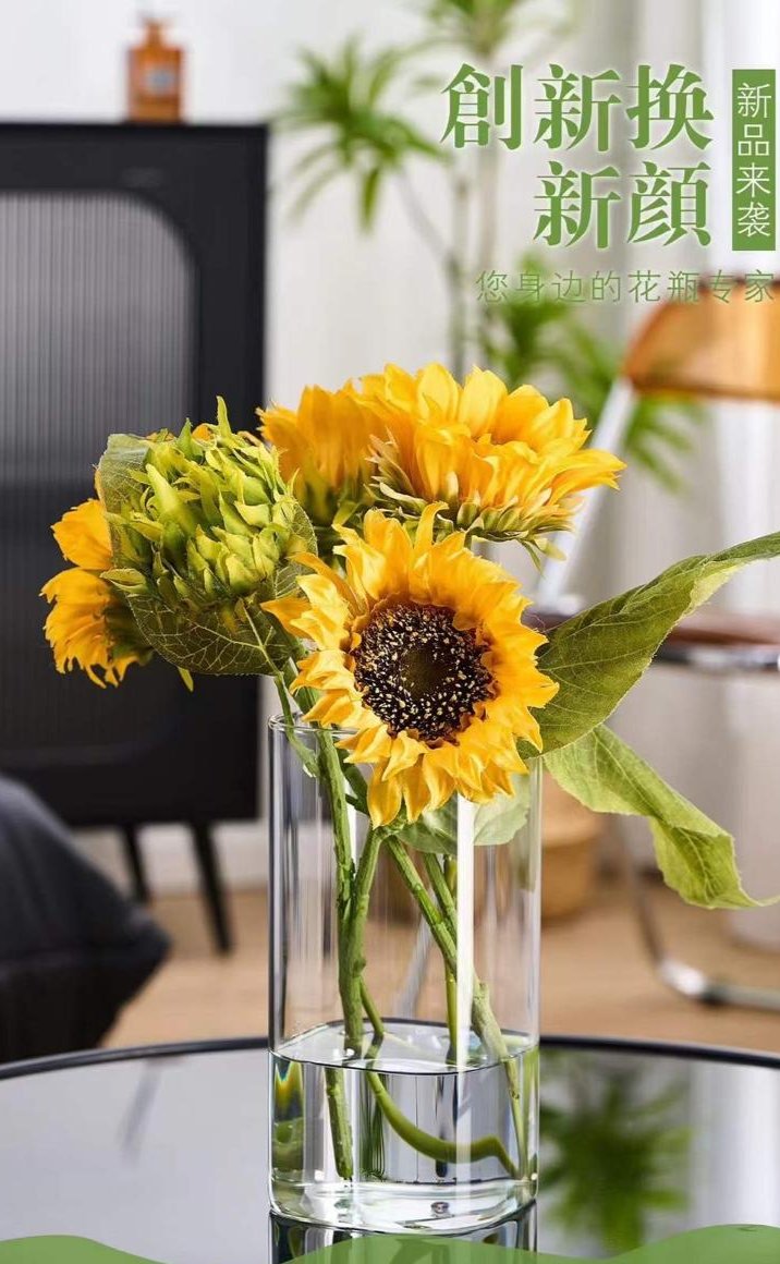 Modern creative clear  glass vase (1 pc)