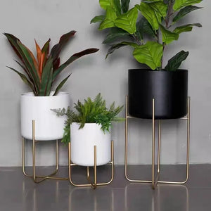 Plants & Planters